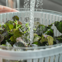 VR. COF1000NT ENSEMBLE ESSORAGE ET ORGANISATEUR CLEAR FRESH 5,5 L -OU