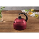 VR. 1.9L KETTLE PARIS TRAMONTINA. 20550/719
