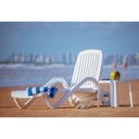 MB. LOUNGE CHAIR COPACABANA WH MEUBLE TRAMONTINA. 92257/010