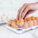 VR. OF100NT CLEAR EGG ORGANIZER NATURAL -OU
