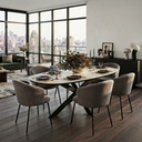 TABLE SALLE A MANGER ARK-DC7094 (ARKT23031) + 6 CHAISE ARK-DC23016 COL 11 GRIS ARKEMIX 1820*730*100