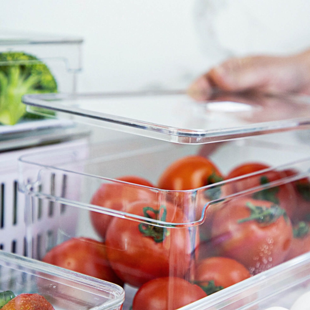 VR. OF300NT CLEAR FRESH ORGANIZER 5L NATURAL -OU