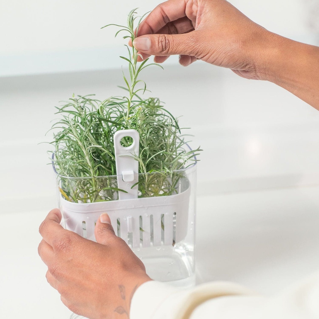 VR. OF800NT CLEAR FRESH SPICE ORGANIZER 1.5L NATURAL -OU