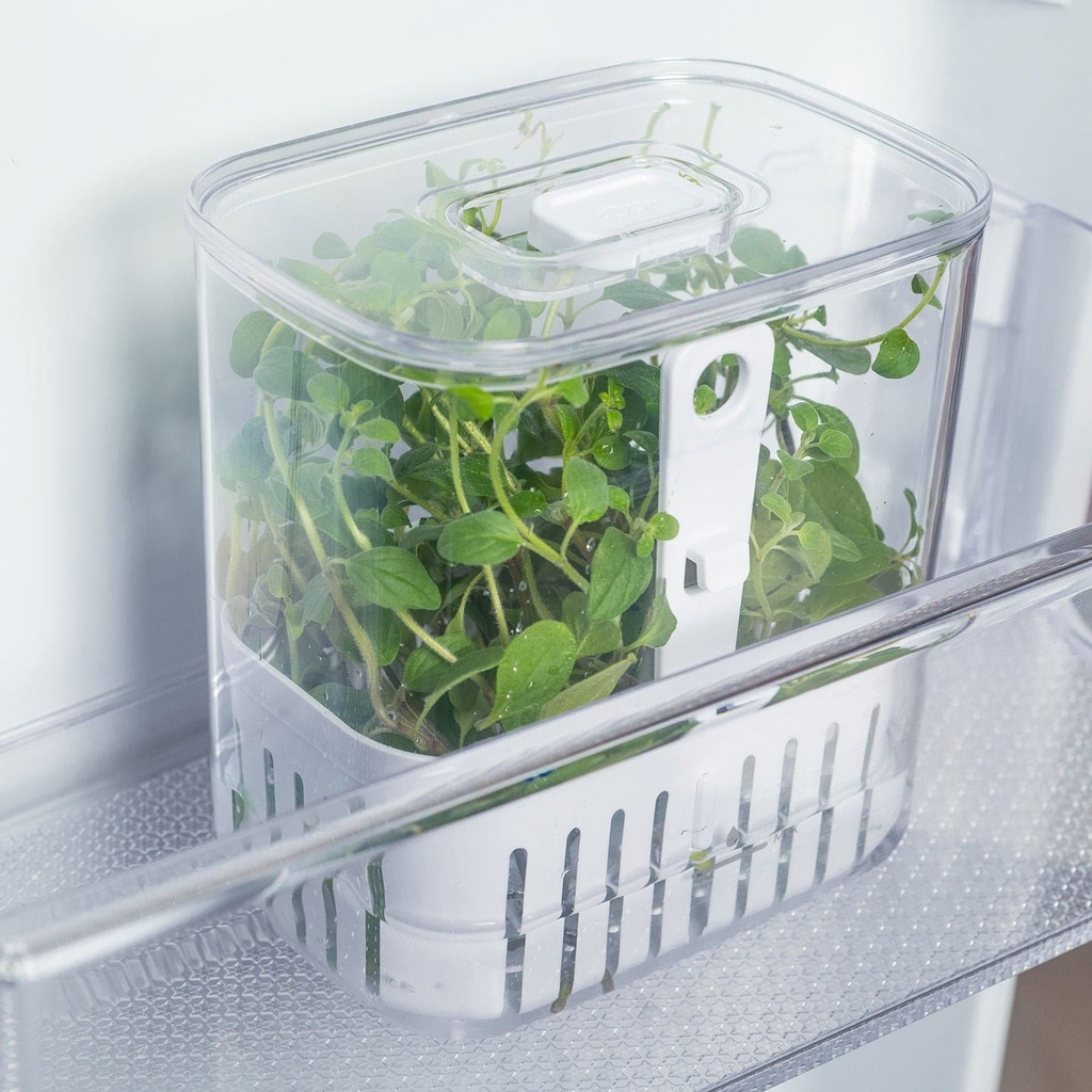 VR. OF800NT CLEAR FRESH SPICE ORGANIZER 1.5L NATURAL -OU