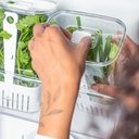 VR. OF900NT CLEAR FRESH SPICE ORGANIZER 2.3L NATURAL -OU