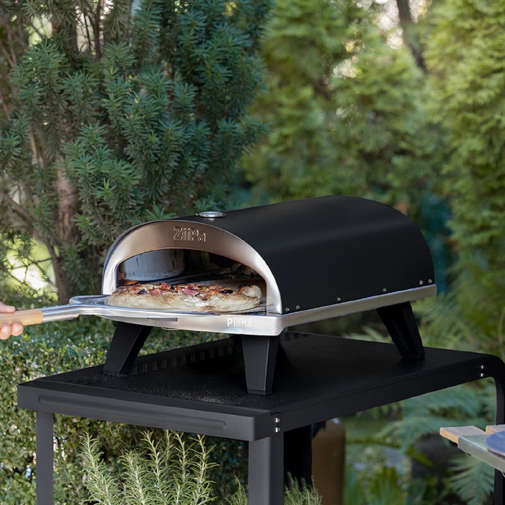 ZIIPA22-025 DESSERTE VALLONE - CHARBON