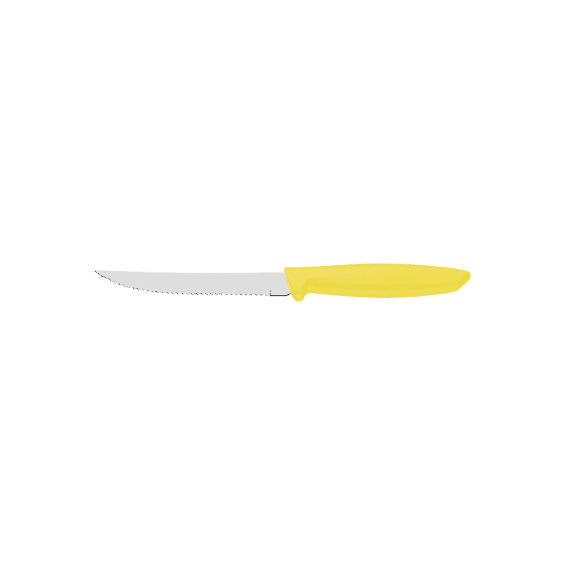 VR. 5 STEACK/FRUIT KNIFE PLENUS 23410/855 TRAMONTINA