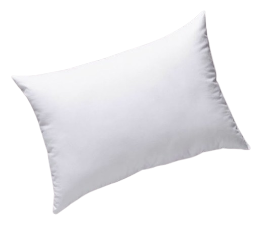 OREILLER 13 60X40+13 Norme Oeko-Tx Label BLEU 1000G