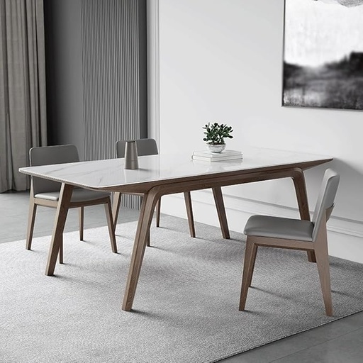 [Y61078] Y61078 TABLE À MANGER 1,6